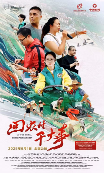 回农村干大事